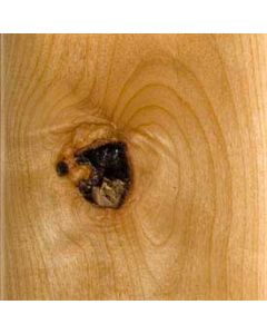 Tacoma Cabinet Door-RKNA