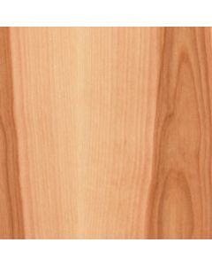 Sawyer Cabinet Door-BIR