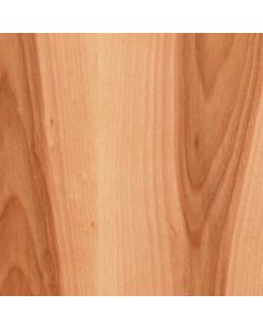 Adobe Cabinet Door-BIR